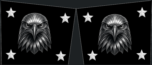 Cybertruck Tryptych Sides - Eagle Faces (Pair)